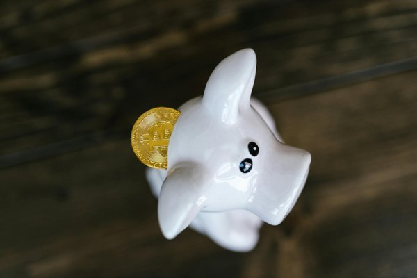 Les erreurs courantes des débutants sur le marché des actions